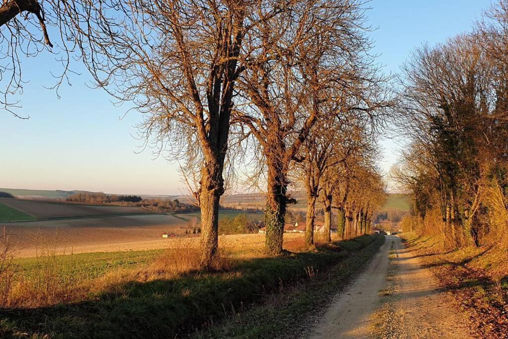 Le Bellevue A 1 H 30 De Paris Et 20 Km De Troyes Βίλα Estissac Εξωτερικό φωτογραφία